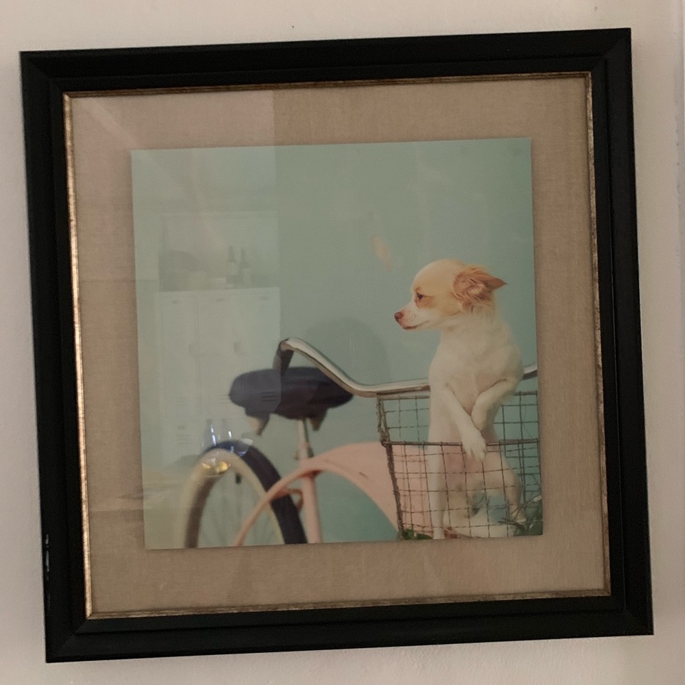Photography set with custom frames